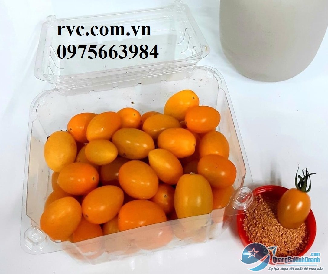 Hop_dung_500g_ca_chua_bi_04.03.jpg