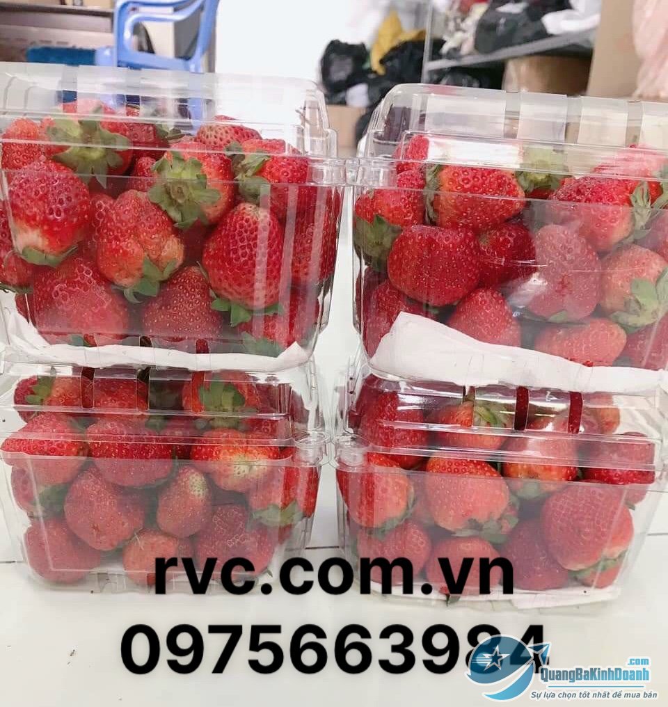 Hop_dung_dau_co_lo_trong_suot.jpg