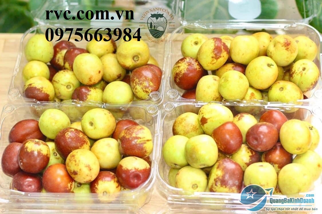 Hop_dung_hong_tao_02.jpg