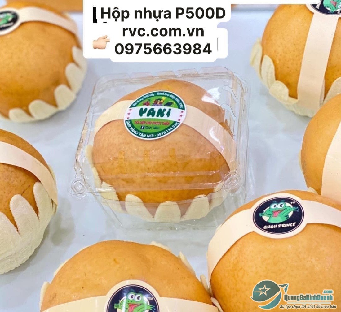 Hop_dung_le_20.jpg