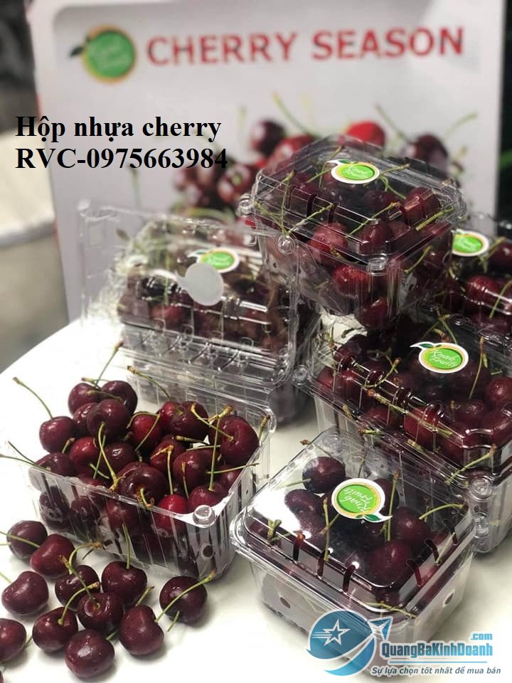 Hop_nhua_dung_cherry.jpg