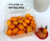 Nơi cung cấp hộp nhựa trái cây giá sỉ đựng cà chua bi