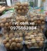 Hộp nhựa trái cây có lỗ đựng 500g P500D