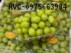 Mua hộp nhựa đựng nho giá rẻ ở đâu?