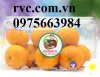 Công ty RVC – nhà phân phối hộp nhựa trái cây uy tín, giá rẻ