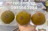 Ở đâu bán hộp nhựa đựng 3 tráiuUy tín, chất lượng, giá tốt nhất ở tại TP. HCM?