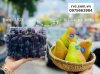 Cách bảo quản nho tươi hiệu quả bằng hộp nhựa đựng hoa quả dùng 1 lần