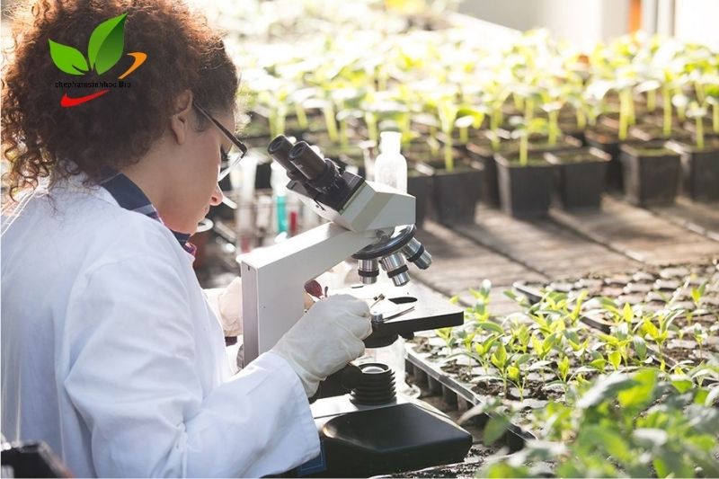 Chế phẩm sinh học giải pháp phù hợp cho nông nghiệp
